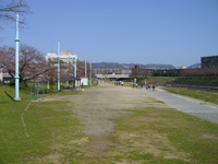 桜堤公園.JPG