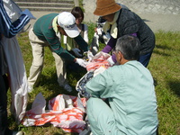 P1000777.JPG