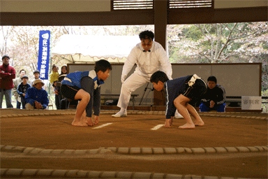 ２０１０年社団法人　高槻青年会議所　「わんぱく相撲高槻場所」