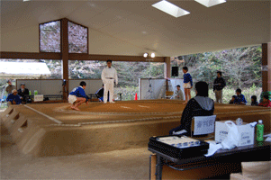 わんぱく相撲　高槻場所